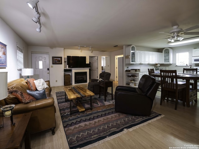 living room with wood-type flooring, track lighting, and ceiling fan