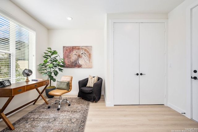 home office featuring light hardwood / wood-style flooring