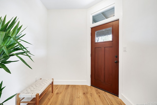 foyer entrance with light hardwood / wood-style floors