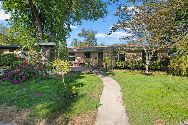 ranch-style house with a front yard