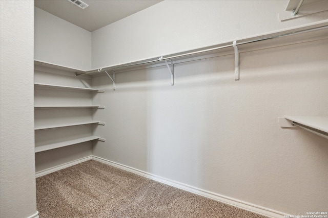 spacious closet featuring carpet floors