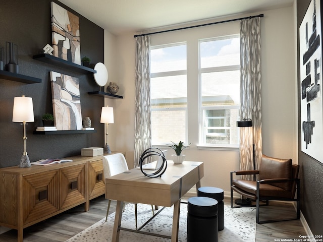 office space featuring hardwood / wood-style flooring and a healthy amount of sunlight