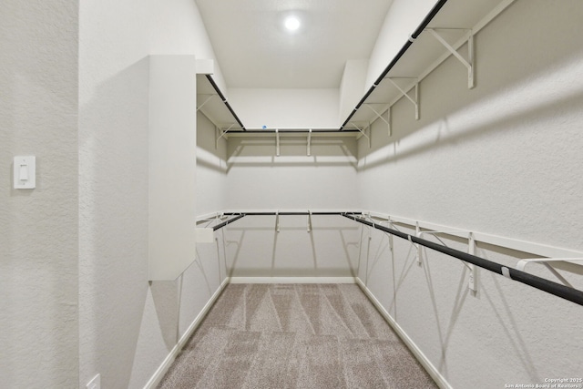 spacious closet featuring light colored carpet