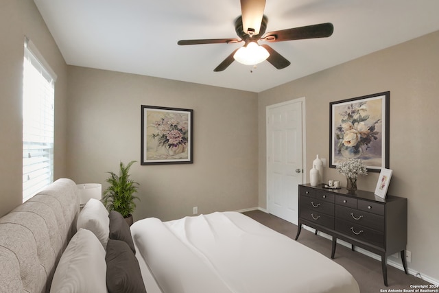 bedroom with multiple windows and ceiling fan