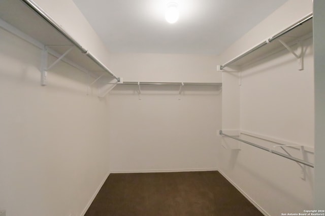 walk in closet featuring dark carpet