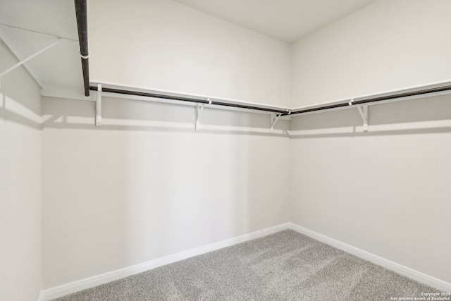 walk in closet featuring carpet floors