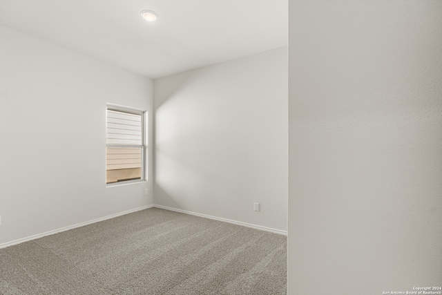 unfurnished room featuring carpet