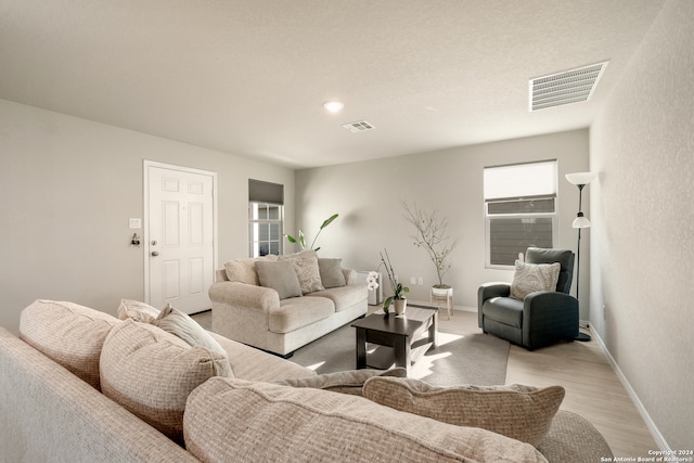 living room featuring light wood-type flooring