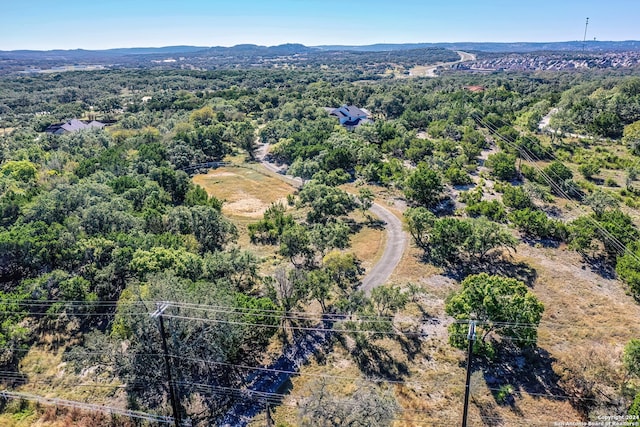 bird's eye view