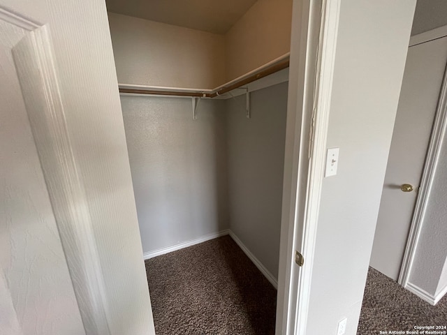 spacious closet featuring carpet flooring