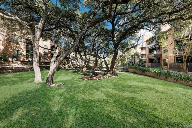 4212 Medical Dr Unit 902, San Antonio, TX 78229 - view of yard