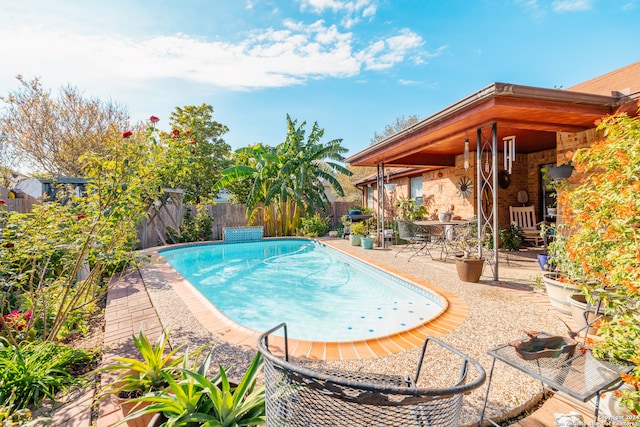 view of swimming pool with a patio area