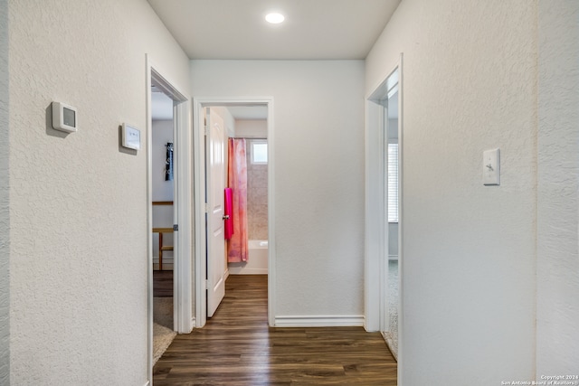 hallway featuring dark wood-type flooring