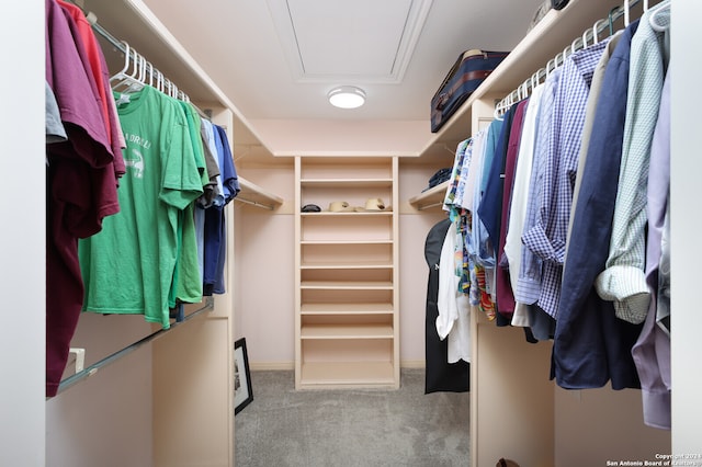 spacious closet featuring light carpet