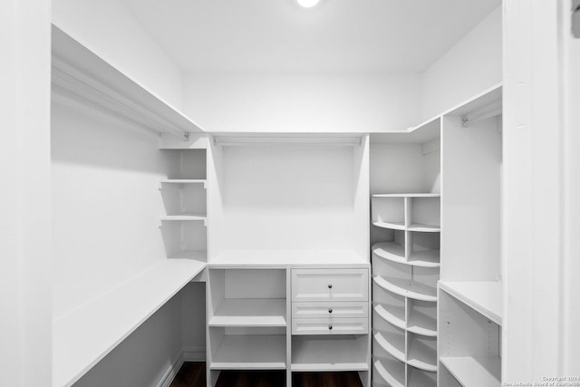 walk in closet featuring dark wood-type flooring