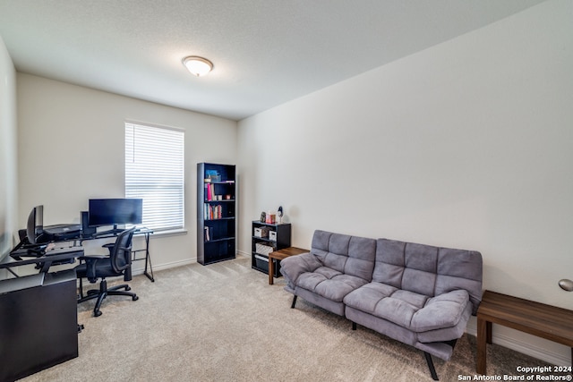 office area with light carpet