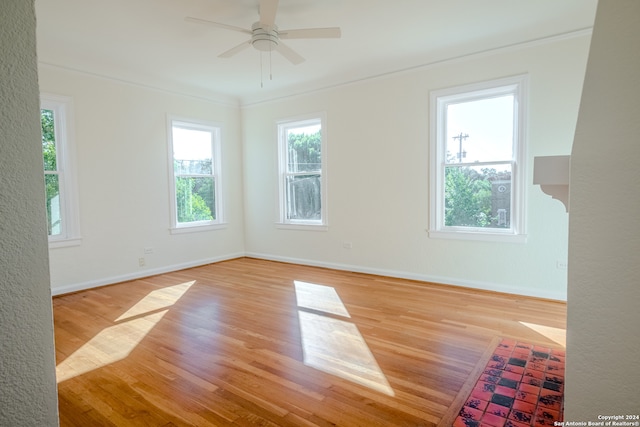 empty room featuring ceiling fan and light wood-type flooring