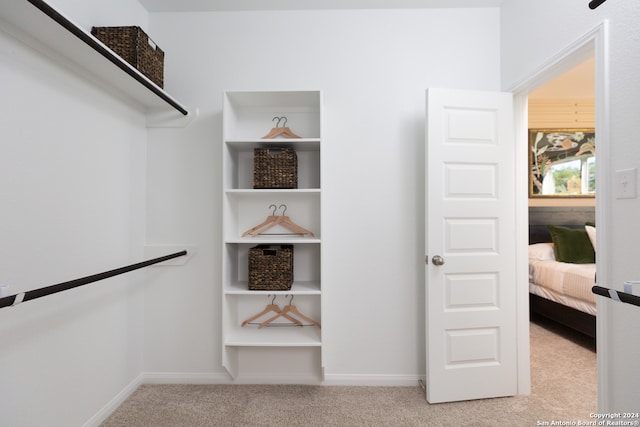 spacious closet with light carpet