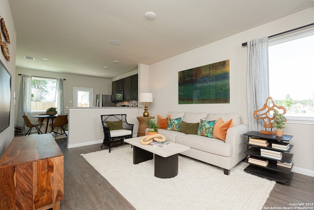 living room with dark hardwood / wood-style flooring