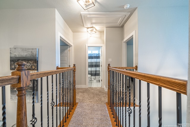 corridor with carpet flooring