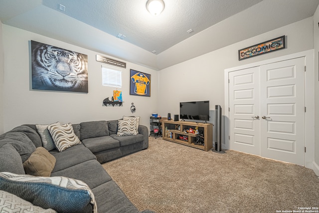 carpeted living room with a textured ceiling