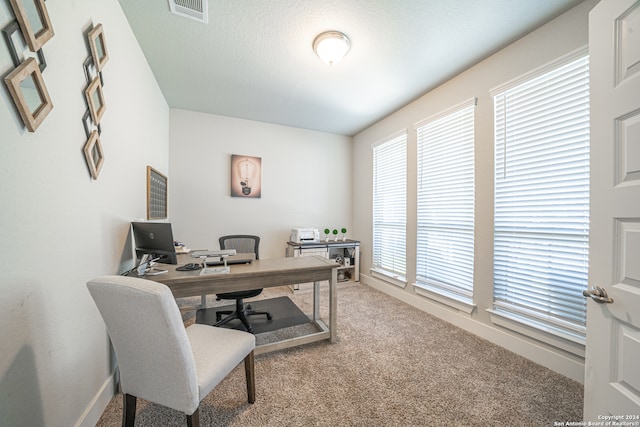 home office featuring plenty of natural light, carpet, and a textured ceiling