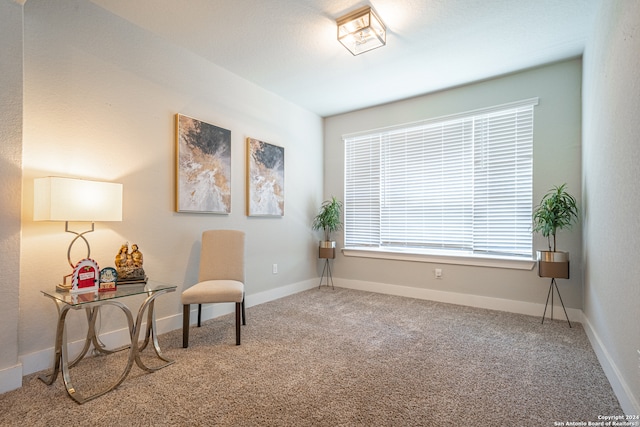 living area with carpet floors