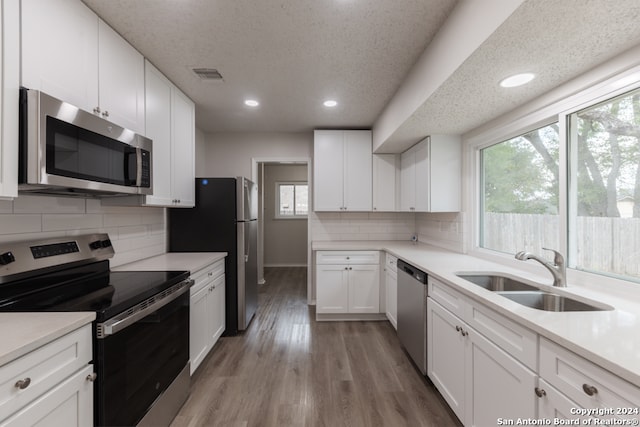 kitchen with white cabinetry, stainless steel appliances, and a wealth of natural light