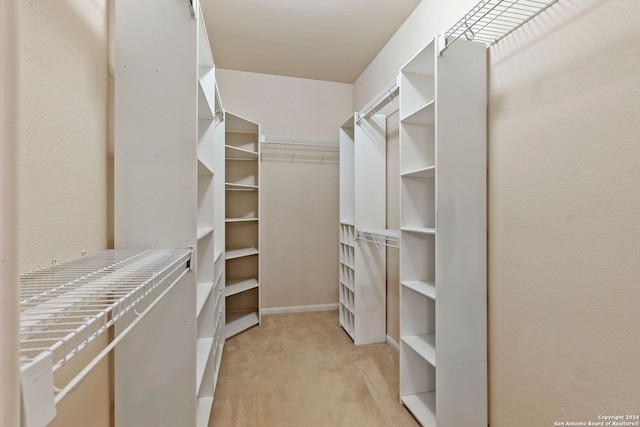 walk in closet with light carpet