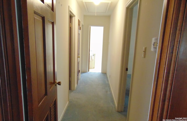 corridor featuring light colored carpet