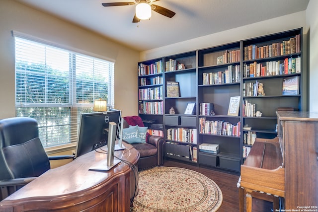 office area featuring ceiling fan and dark wood-type flooring