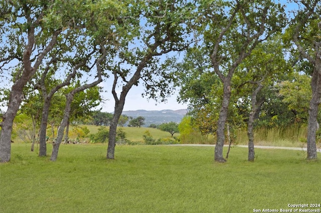 view of home's community featuring a lawn and a mountain view