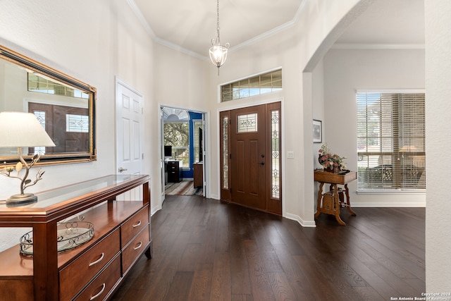 foyer with crown molding, dark hardwood / wood-style flooring, and a healthy amount of sunlight