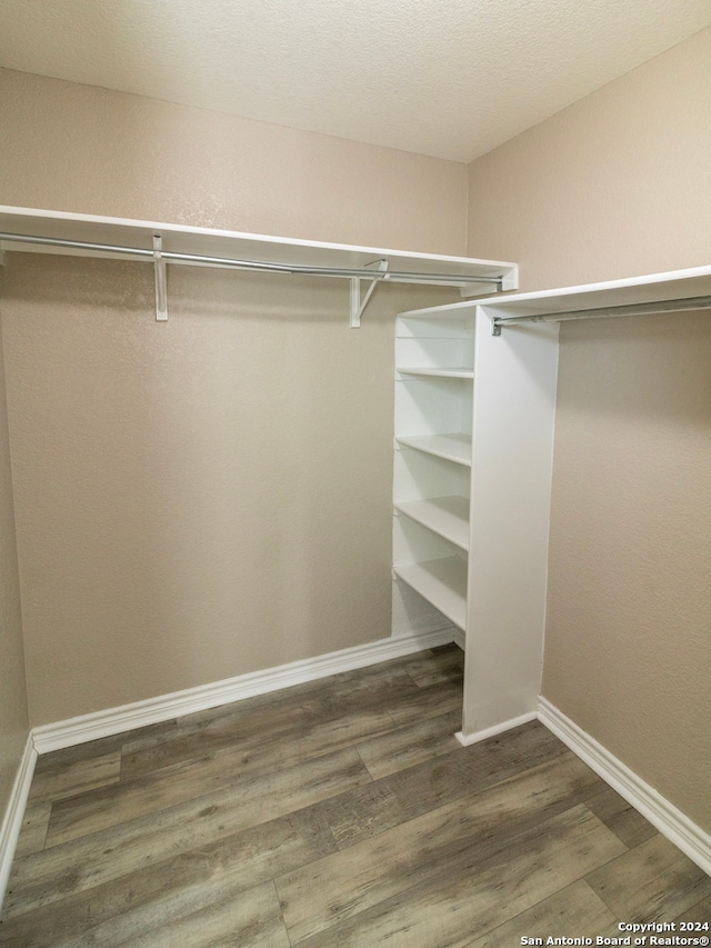 spacious closet featuring dark hardwood / wood-style flooring