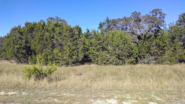 630 Rayner Ranch Blvd, Spring Branch, TX 78070