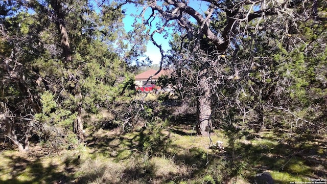 630 Rayner Ranch Blvd, Spring Branch, TX 78070