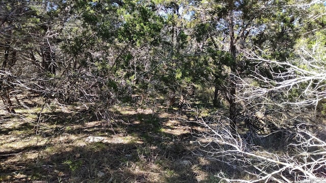 630 Rayner Ranch Blvd, Spring Branch, TX 78070