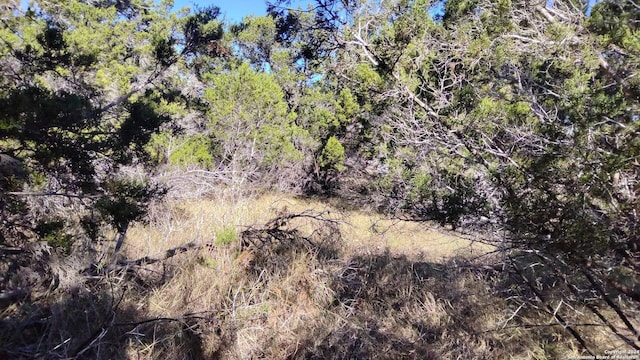630 Rayner Ranch Blvd, Spring Branch, TX 78070