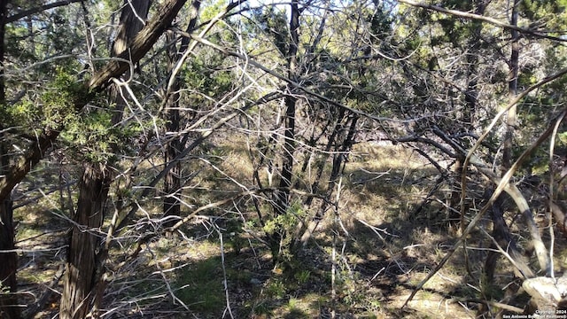 630 Rayner Ranch Blvd, Spring Branch, TX 78070