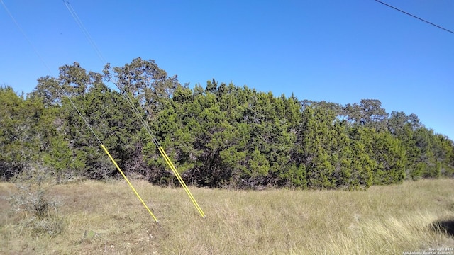 630 Rayner Ranch Blvd, Spring Branch, TX 78070