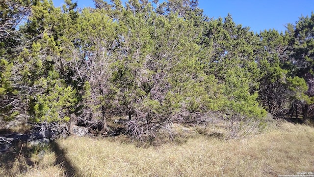 630 Rayner Ranch Blvd, Spring Branch, TX 78070