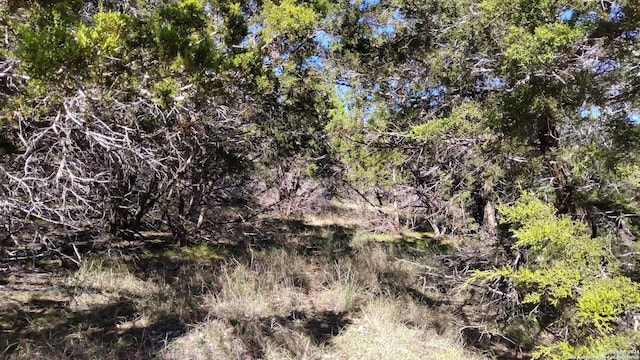 630 Rayner Ranch Blvd, Spring Branch, TX 78070