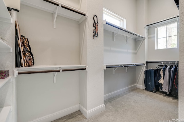 spacious closet with light carpet