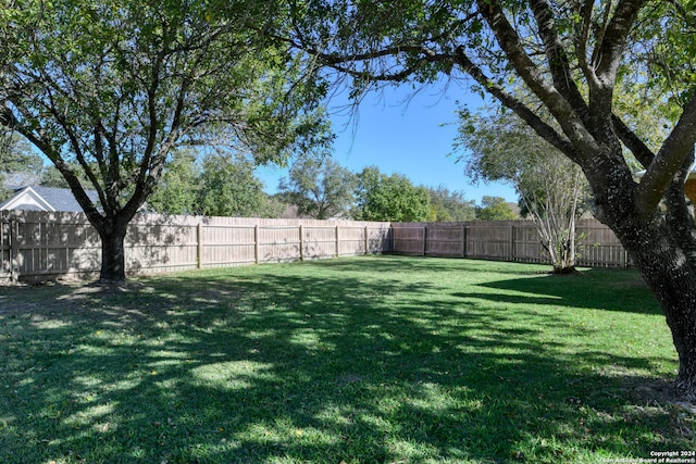 view of yard featuring a fenced backyard