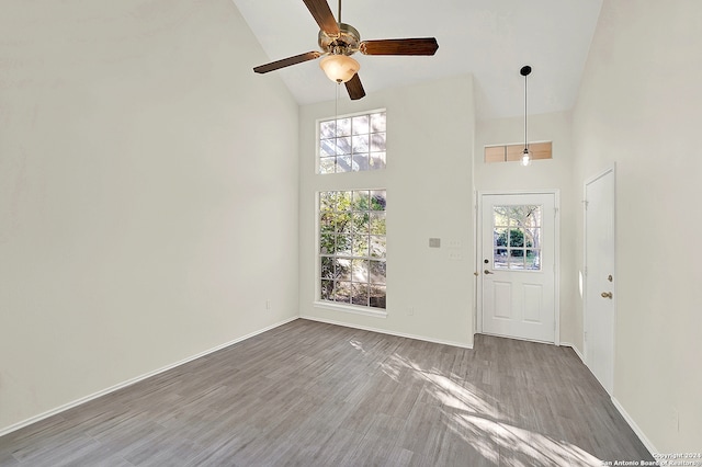 entryway with hardwood / wood-style flooring, high vaulted ceiling, and plenty of natural light