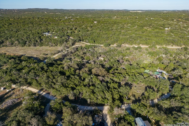 Listing photo 3 for 1247 Turkey Canyon Dr, Spring Branch TX 78070