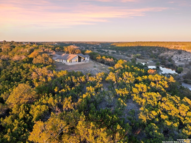 birds eye view of property with a forest view