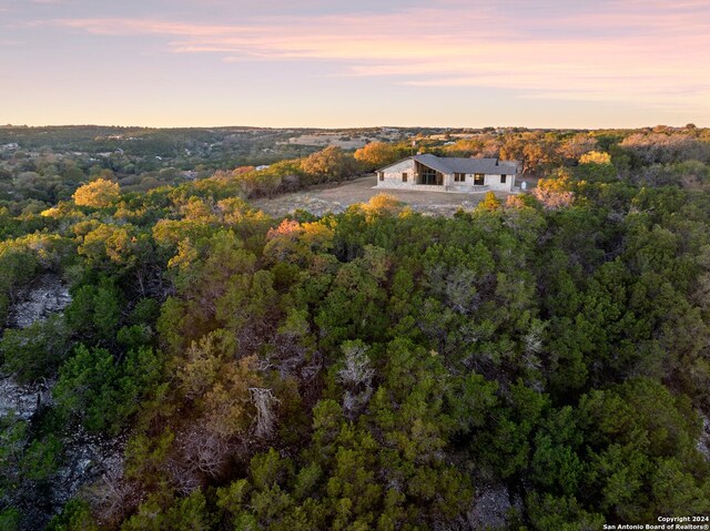 aerial view at dusk with a wooded view