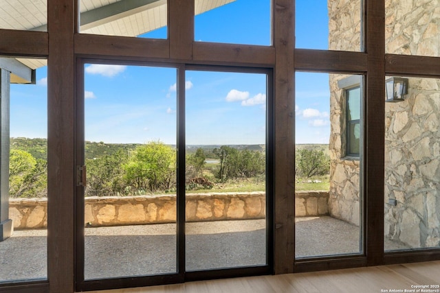 160 Mountain Way, Kerrville, TX 78028 - doorway to outside featuring healthy amount of natural light and wood finished floors