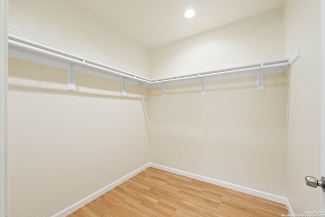 walk in closet featuring wood-type flooring